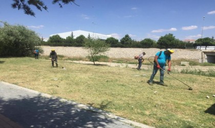 Belediye ekipleri ilçedeki yabani otları temizliyor