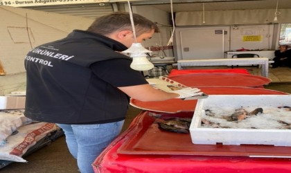 Beyşehirde yasa dışı avcılık denetleniyor