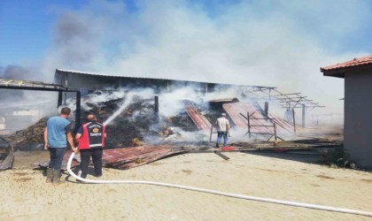 Bilecikte dün başlayan at çiftliği yangınında soğutma işlemi devam diyor