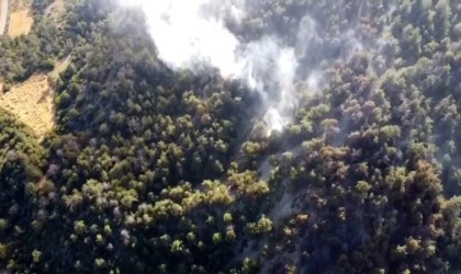 Boluda çıkan orman yangınında 5 hektarlık alan küle döndü