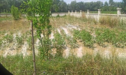 Boluda sel felaketinin zararı tespit ediliyor