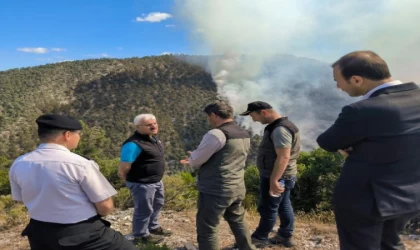 Bolu’daki orman yangınına havadan müdahale (2)