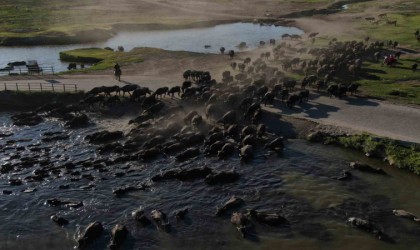 Burası Afrika değil Kayseri