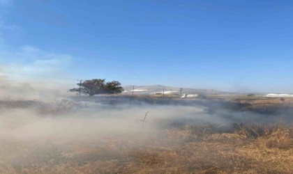 Burdurda 30 dönüm hububat tarlası küle döndü