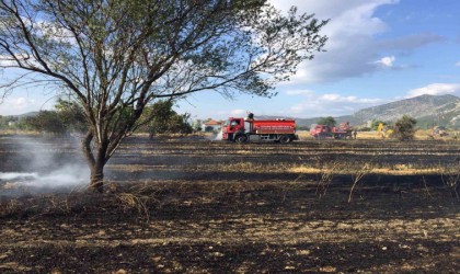 Burdurda 40 dekar arazi ve arı kovanları yangında küle döndü