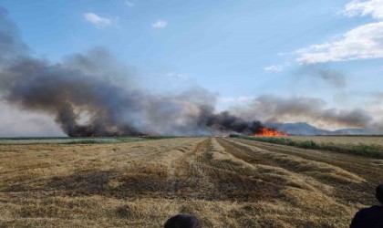Burdurda 800 dekar tarım arazisi yangında küle döndü