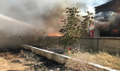 Burdurda kereste fabrikası alevlere teslim oldu