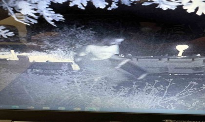 Çanakkalede Bal Ormanlarına ayıların girmemesi için kurulan foto kapana hırsız takıldı