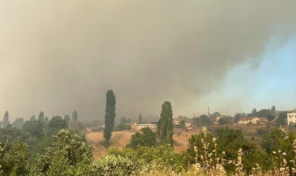 Çanakkale’de orman yangını 