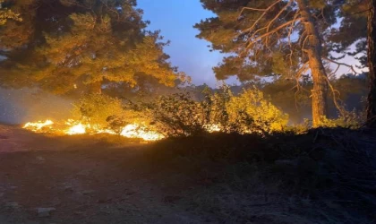 Çanakkale’de orman yangını (2)
