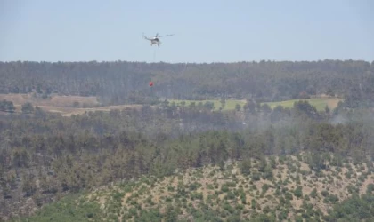 Çanakkale’deki orman yangınında 3’üncü gün (2)