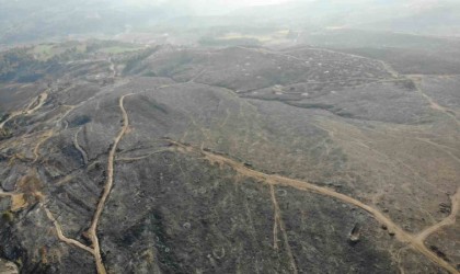 Çanakkaledeki orman yangınlarında 3 bin 500 futbol sahası büyüklüğünde alan yandı