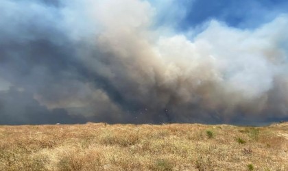 Çanakkaledeki yangında rüzgarın etkisiyle alevler büyümeye başladı