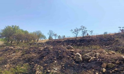 Çankırıda anız yangını büyümeden söndürüldü