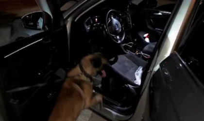 Cipte uyuşturucuyla yakalanan 4 şüpheli tutuklandı