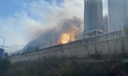 Demir çelik fabrikasında yangın