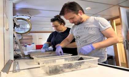 Dip çamurunun biyoçeşitliliğe etkisi araştırılıyor