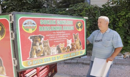 Diyarbakır sıcaklarında günde 3-4 bin sokak hayvanına mama ve su veriliyor