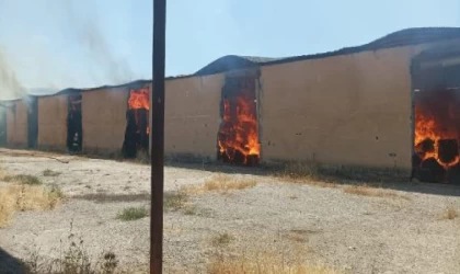 Diyarbakır’da çırçır fabrikasının deposu yandı; 110 milyon TL’lik 1000 ton pamuk kül oldu