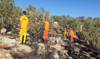 Diyarbakırda iki ayrı anız yangını ormanlık alana sıçradı