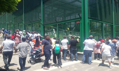 Doğal yaşam parkı, bayram tatilinde yüz bin ziyaretçi ağırladı