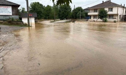 Düzcede uyarı levhaları su altında kaldı