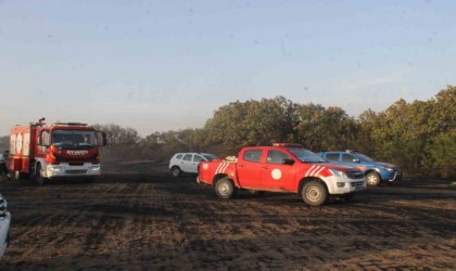 Edirnede orman yangını söndürüldü