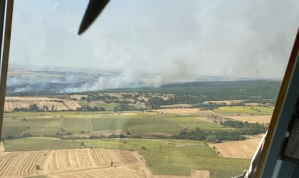 Edirne’de tarladan ormana sıçrayan yangın, kontrol altına alındı