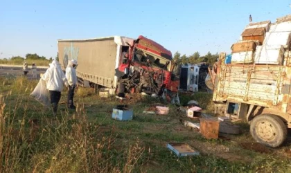Edirne’de TIR, park halindeki 2 kamyonete çarptı; 4 ölü, 1 yaralı/ Ek fotoğraf
