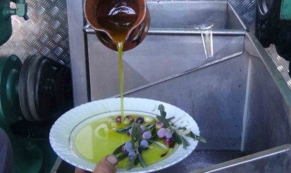 Edremit zeytinyağı Avrupa Birliğinden coğrafi işaret tescilini aldı