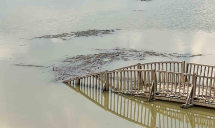 Efteni Gölünde hasarın boyutu ortaya çıktı