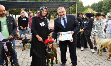 Emette oğlaklar podyuma çıktı