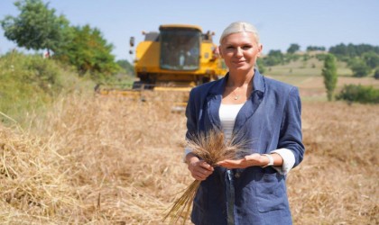 Geçen yıl deneme amaçlı toprakla buluşan karakılçık buğdayının hasadı yapıldı
