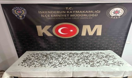 Hatayda 2 bin adet Roma-Bizans Dönemine ait sikke ele geçirildi