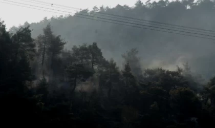 Hatay’da orman yangını; 4 saatte kontrol altında / Ek fotoğraf