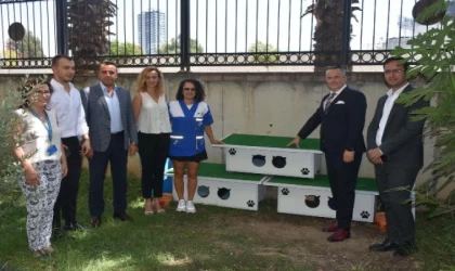 İzmir Adalet Sarayı’nın kedilerine atıl malzemelerden ev ve beslenme odağı