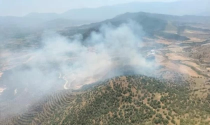 İzmir’de tarlada çıkan yangın, ormana sıçradı