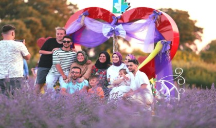 İzmitin mor bahçesi göz kamaştırıyor