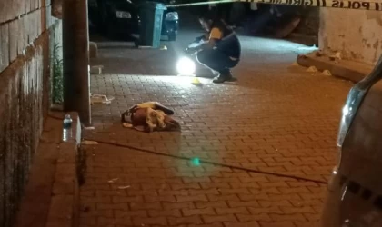 İzmit’te ’sokak arasında hızlı gitme’ tartışmasında baba-oğul tabanca ile vuruldu