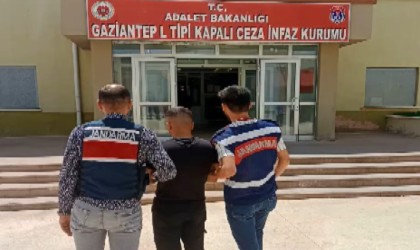Jandarmadan aranan şahıslara operasyon: 31 gözaltı