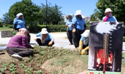 Kadın peyzaj işçilerinin 50 derece sıcaklıkta zorlu mesaisi