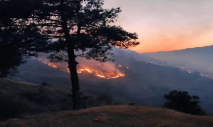 Kahramanmaraş’ta, 14 saat süren yangında 100 hektar alan zarar gördü