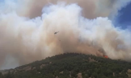 Kahramanmaraş’ta orman yangını