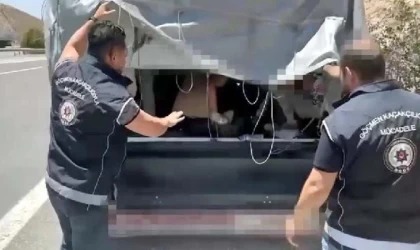 Kamyonetin kasasından 43 kaçak göçmen çıktı, 2 organizatör tutuklandı