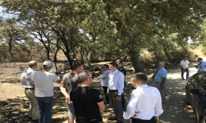 Kaymakam Memiş, 33 koyunun telef olduğu ağılda inceleme yaptı