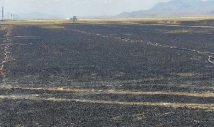 Kayseri’de trafoya konan kartal yangına neden oldu