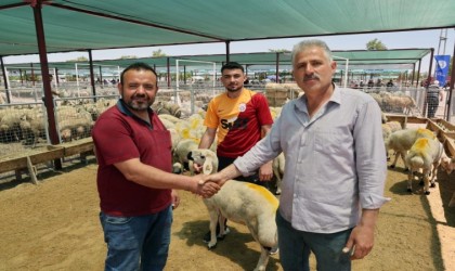 Kayserililerin kurban tercihi küçükbaş hayvan oldu