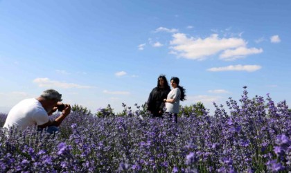Kokusu mest ediyor, rengi büyülüyor