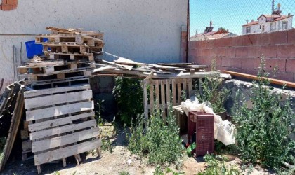 Konyada 40 kök kenevir ele geçirildi