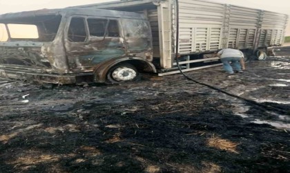 Konyada buğday yüklü kamyon yandı